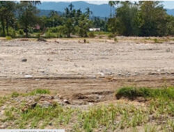 Banjir Padang, 34,5 Hektare Sawah Butuh Rehabilitasi