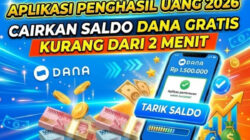 Saldo DANA