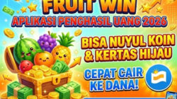 Fruit Win, Game