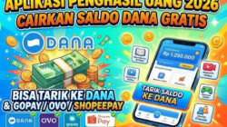 Saldo DANA