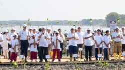 BRI Peduli tanam 30 ribu bibit mangrove.