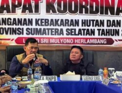 BNPB Evaluasi Pengerahan Personel dan Alutsista Atasi Karhutla Sumsel