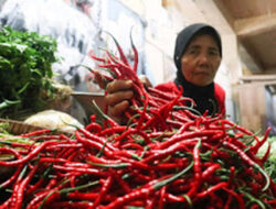 Cabai Keriting Merah Tembus Rp78 Ribu per Kg