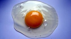 Kuning telur yang berwarna oranye belum tentu berbahaya, dan sebaliknya, tak juga lebih bernutrisi. Perbedaan warna ini lebih dipengaruhi oleh pakan ayam.