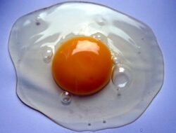 Kuning Telur Berwarna Oranye, Berbahayakah? Ini Faktanya
