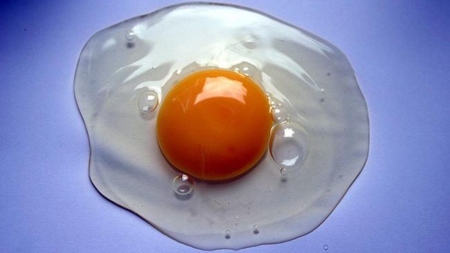 Kuning telur yang berwarna oranye belum tentu berbahaya, dan sebaliknya, tak juga lebih bernutrisi. Perbedaan warna ini lebih dipengaruhi oleh pakan ayam.
