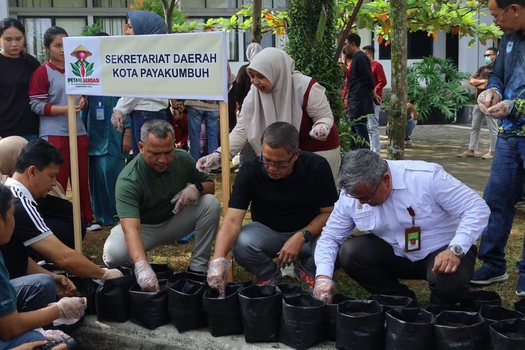 Tindak Lanjuti "Petani Berdasi", Pemko Payakumbuh dan Kementan Jadikan ASN Pionir Ketahanan Pangan