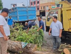 Pascapohon Tumbang di Rantauprapat, DLH Labuhanbatu Turunkan 4 Truk Bersihkan Jalan