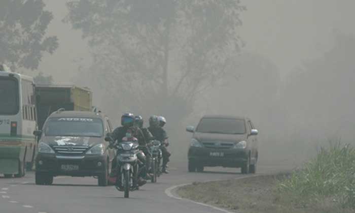 Kabut asap di Solok Selatan semakin pekat, pelajar belajar di rumah.